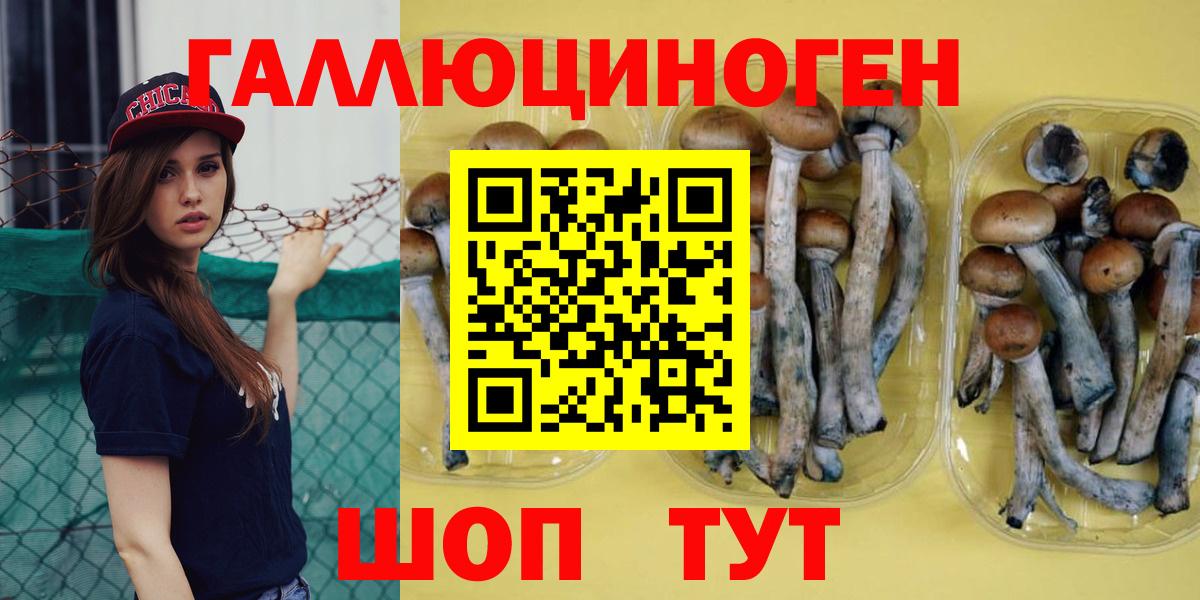Псилоцибиновые грибы Psilocybe  Вход с VPN  Псилоцибиновые грибы мухоморы  Балтийск 