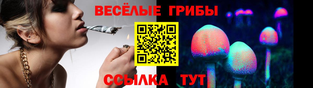 Псилоцибиновые грибы прущие грибы Балтийск